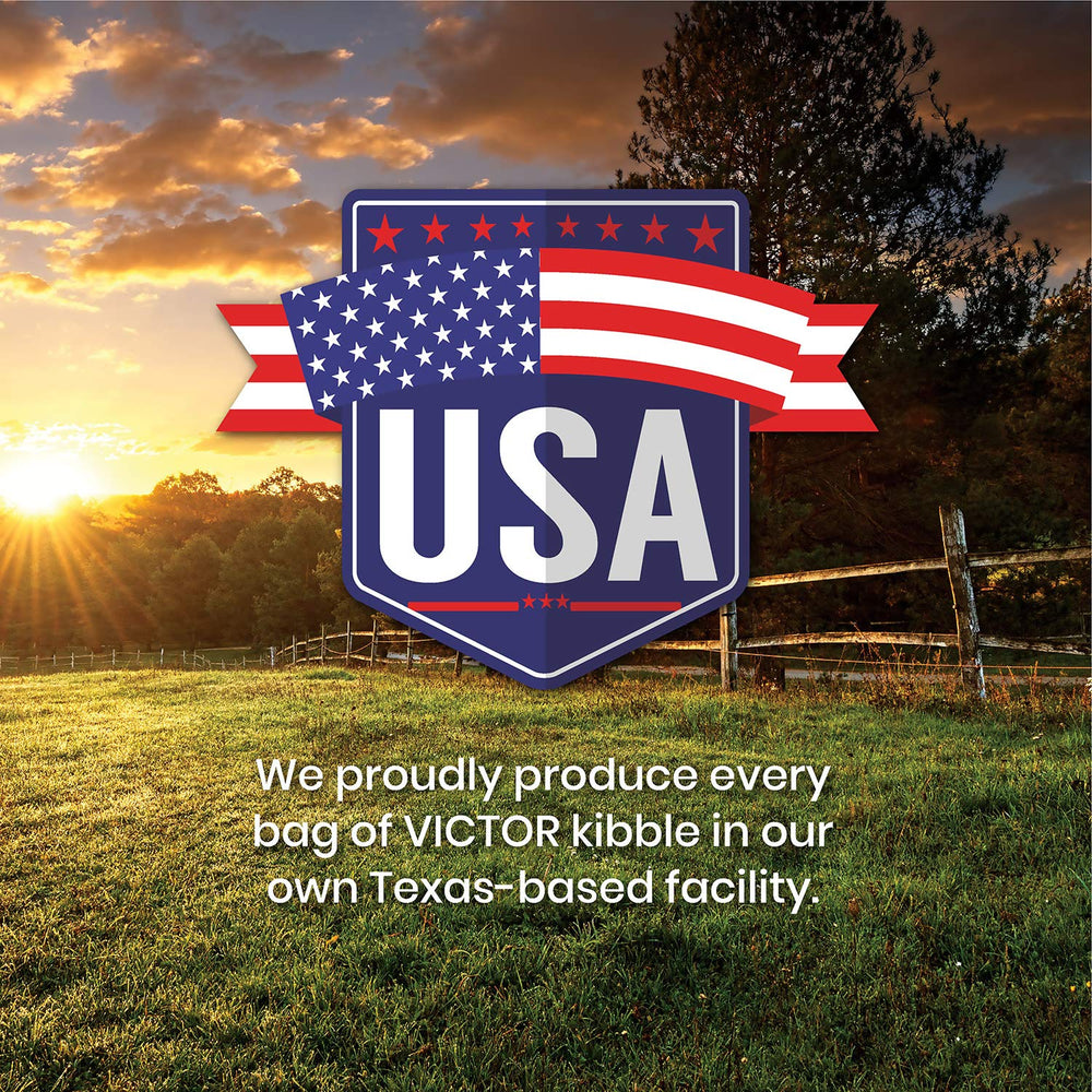 VICTOR Hi-Pro Plus serving dish showing ready-to-serve kibble