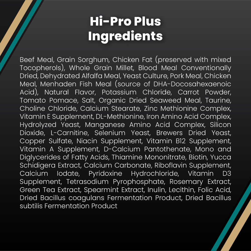 VICTOR Hi-Pro Plus sporting-dog energy concept showcases athletic, high-protein feeding