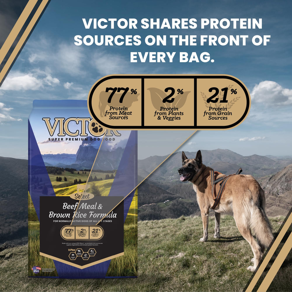VICTOR immunity-support dog food kibble assembly suggests digestive and immune support