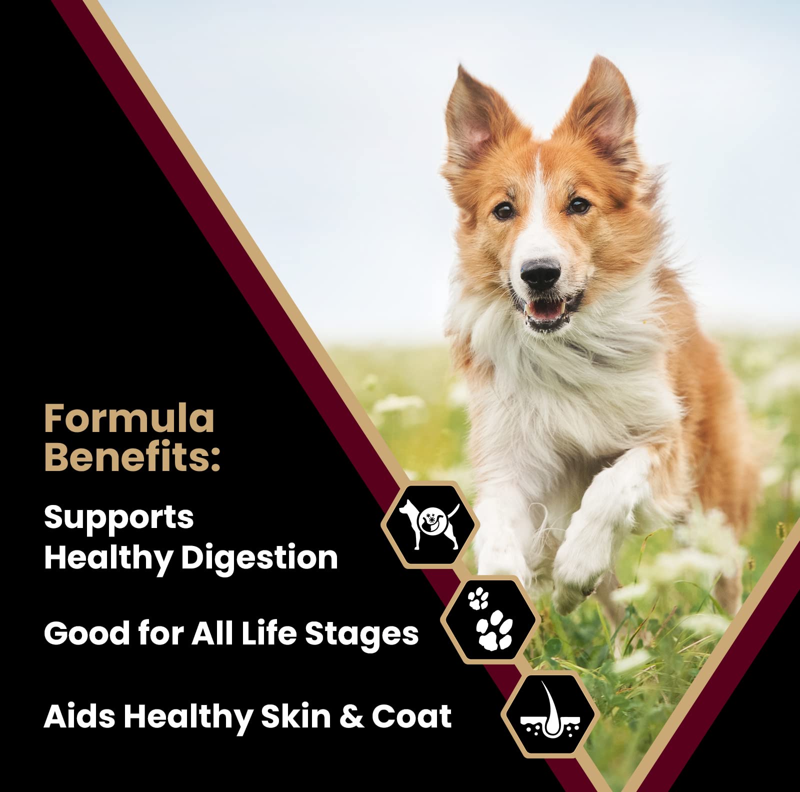 VICTOR Lamb Meal & Brown Rice kibble close-up highlighting gluten-free digestibility.