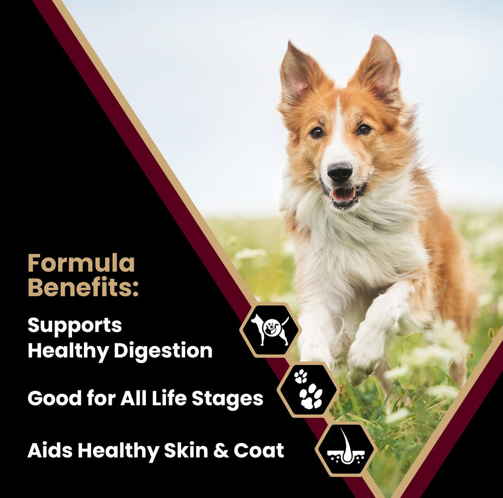 VICTOR Lamb Meal & Brown Rice kibble close-up highlighting gluten-free digestibility.