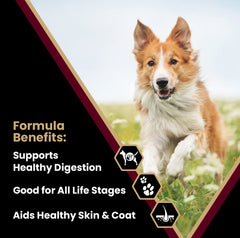 VICTOR Lamb Meal & Brown Rice kibble close-up highlighting gluten-free digestibility.
