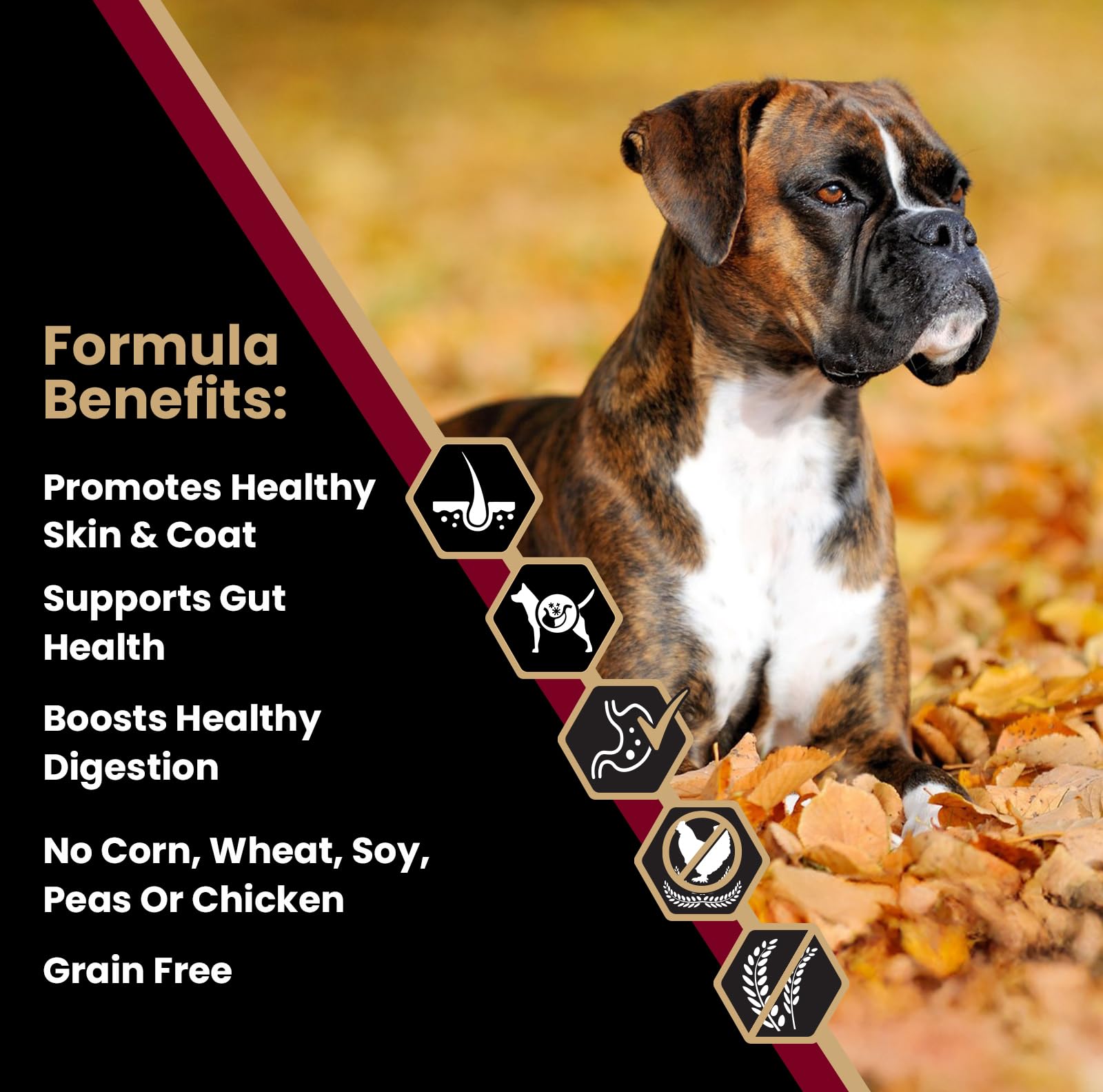 VICTOR Lamb meal first ingredient supports lean muscle.
