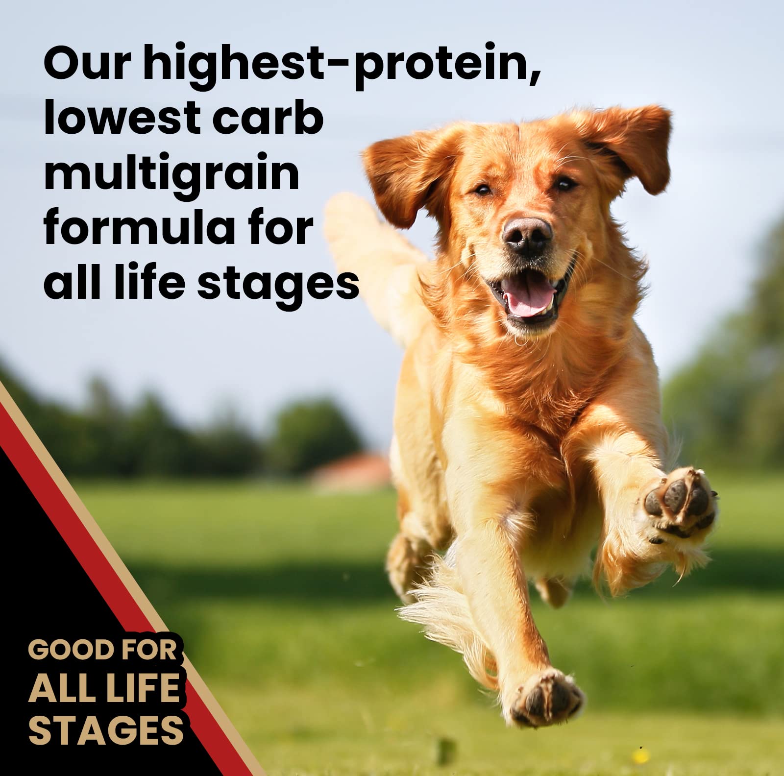 VICTOR Nutra Pro meat meals blend for balanced nutrition.