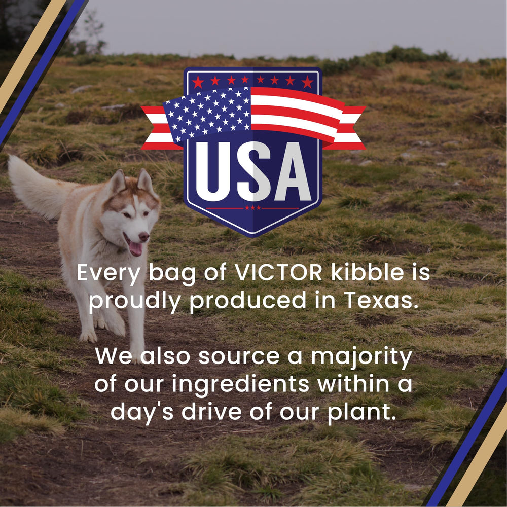 VICTOR nutrition ingredients chart emphasizes protein and gluten-free grains