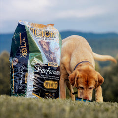 VICTOR kibble closeup showing 26% protein for vitality