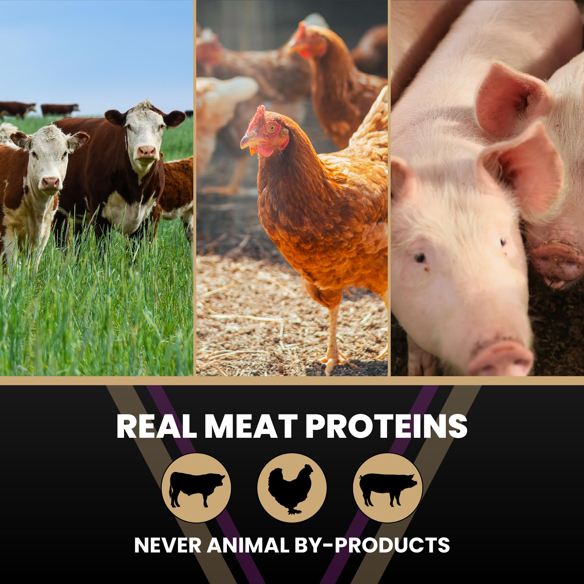 VICTOR VPRO blend graphic indicating enhanced digestibility and coat health