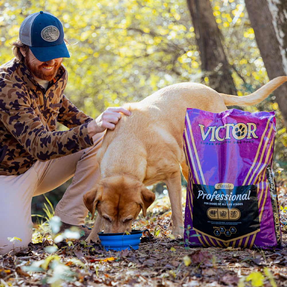 VICTOR Professional dry dog food meat meals closeup highlighting protein-rich beef chicken pork