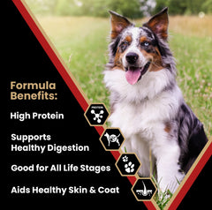 Close-up of VICTOR Nutra Pro kibble showing premium multi-meat formula for athletic dogs
