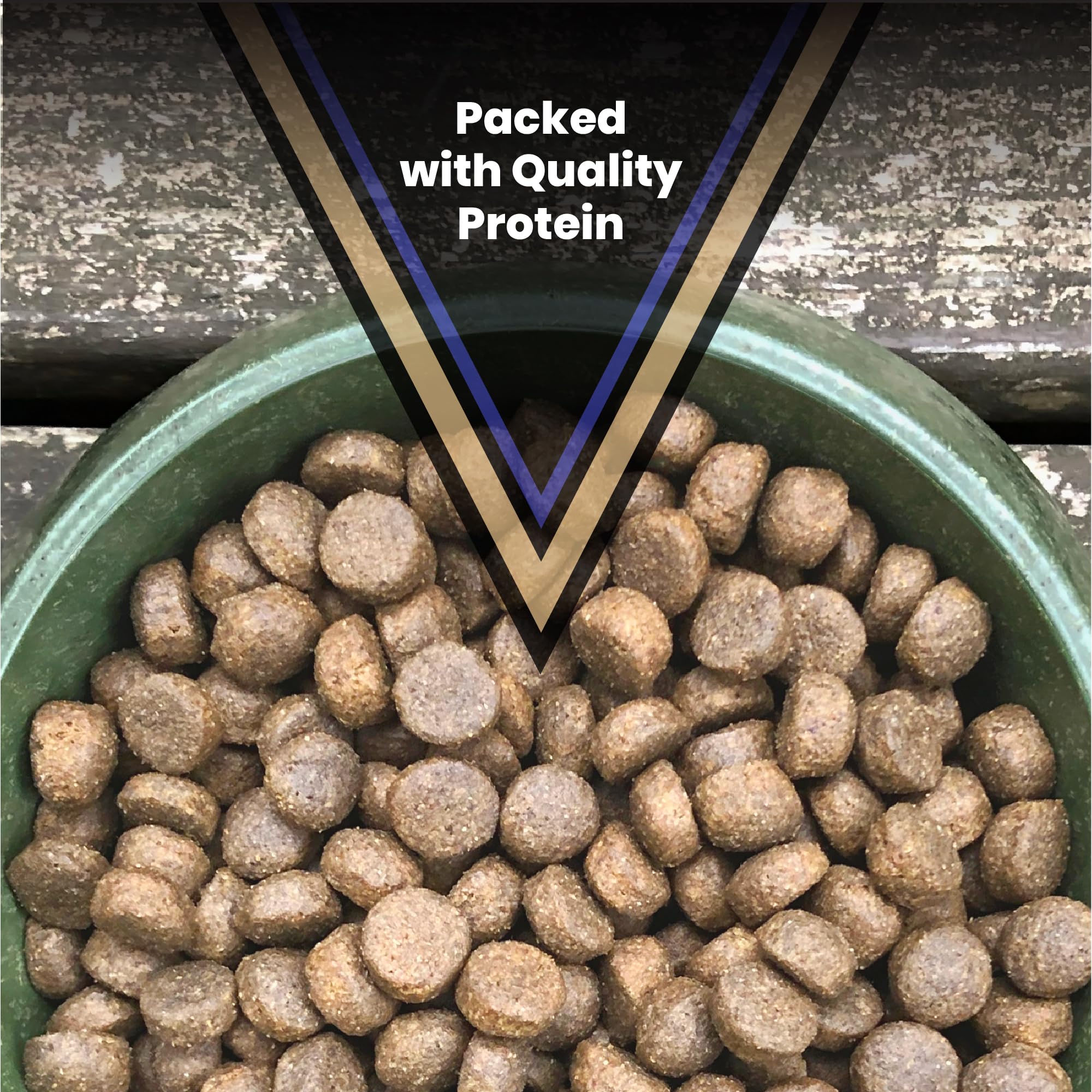 VICTOR Select Beef Meal serving bowl ready for mealtime with balanced nutrition.