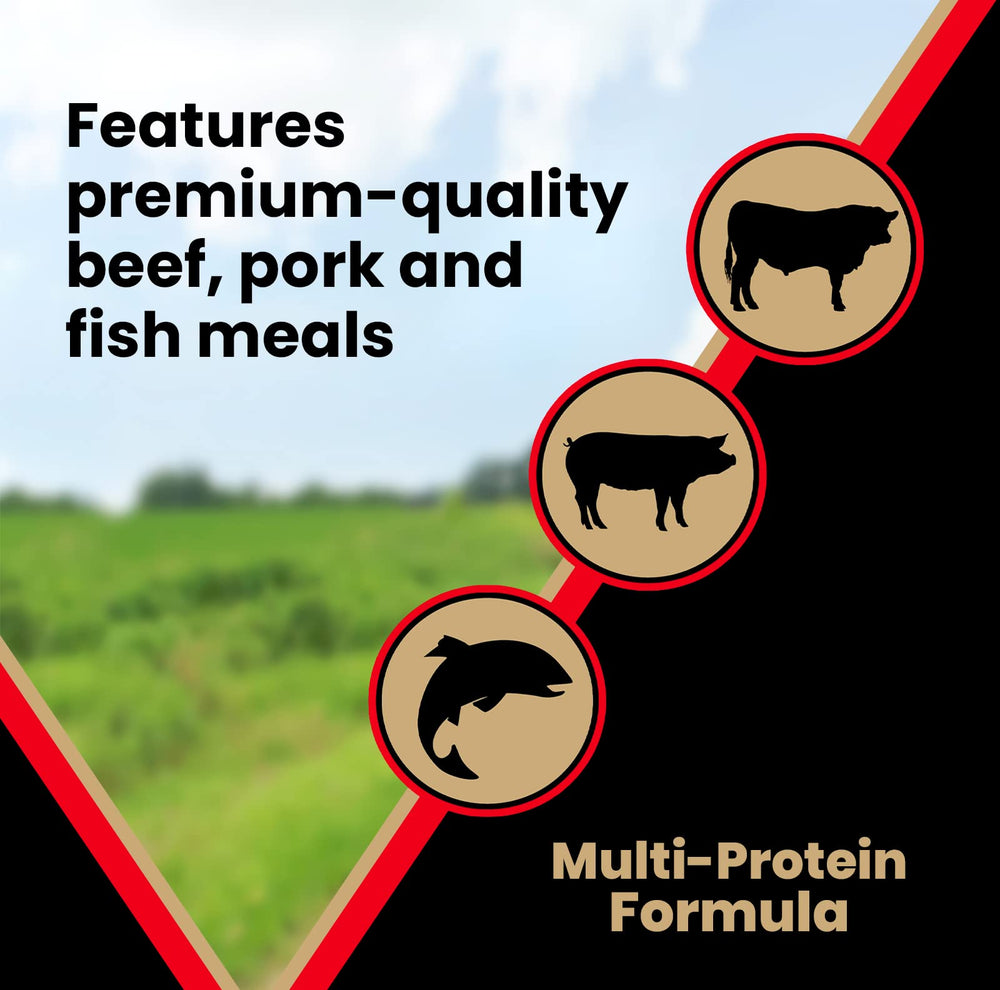 VICTOR serving suggestion shows convenient daily feeding for active pets