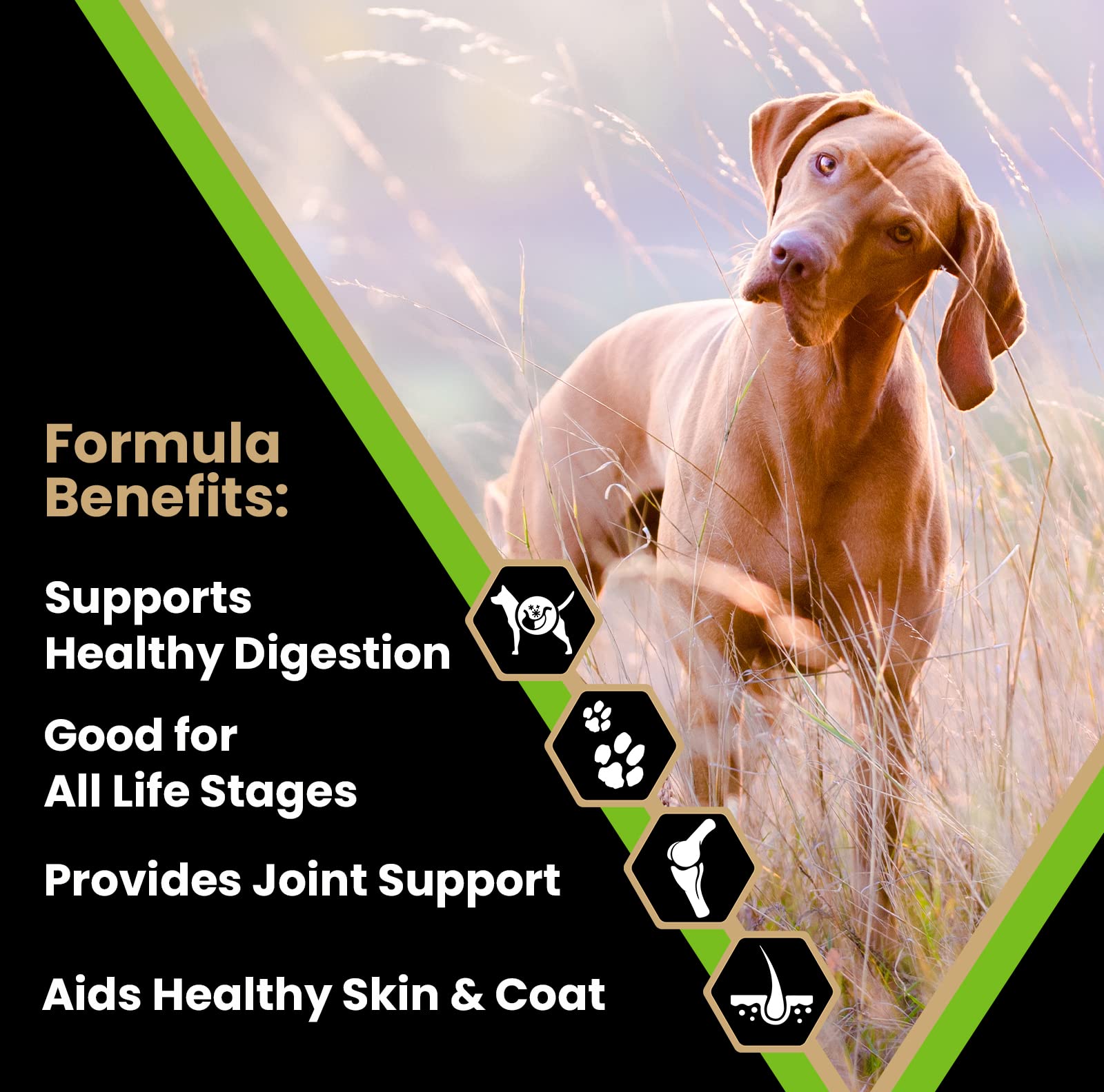 VICTOR Elite Canine bag back label highlighting gluten-free grains and vitamins