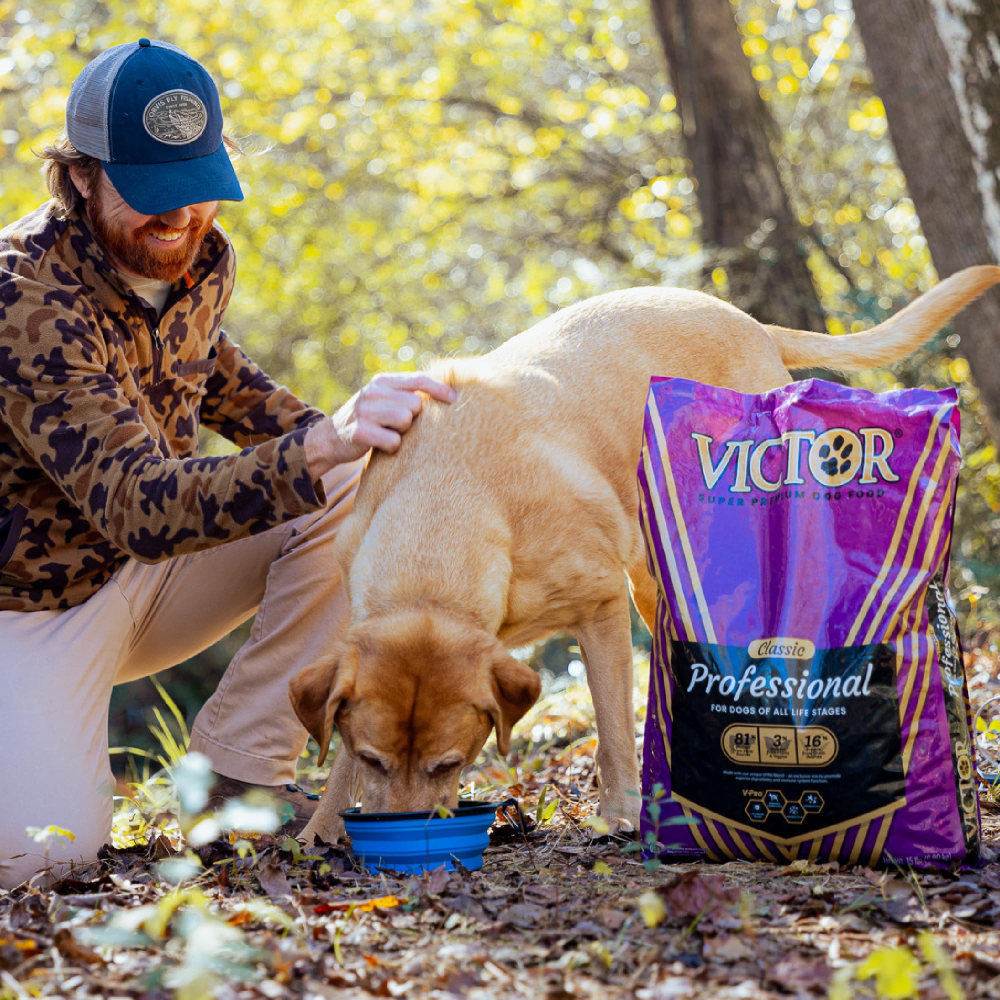 VICTOR kibble close-up highlighting protein-rich formula for energy