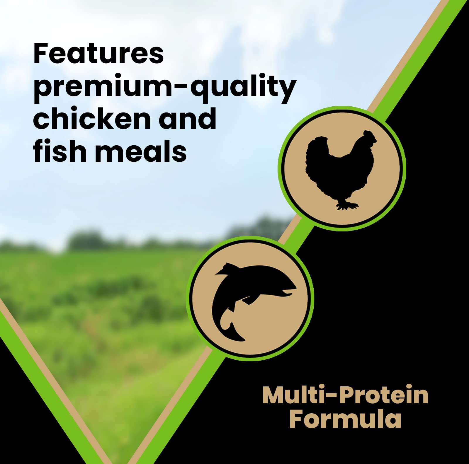 VICTOR kibble being poured into a bowl for daily feeding