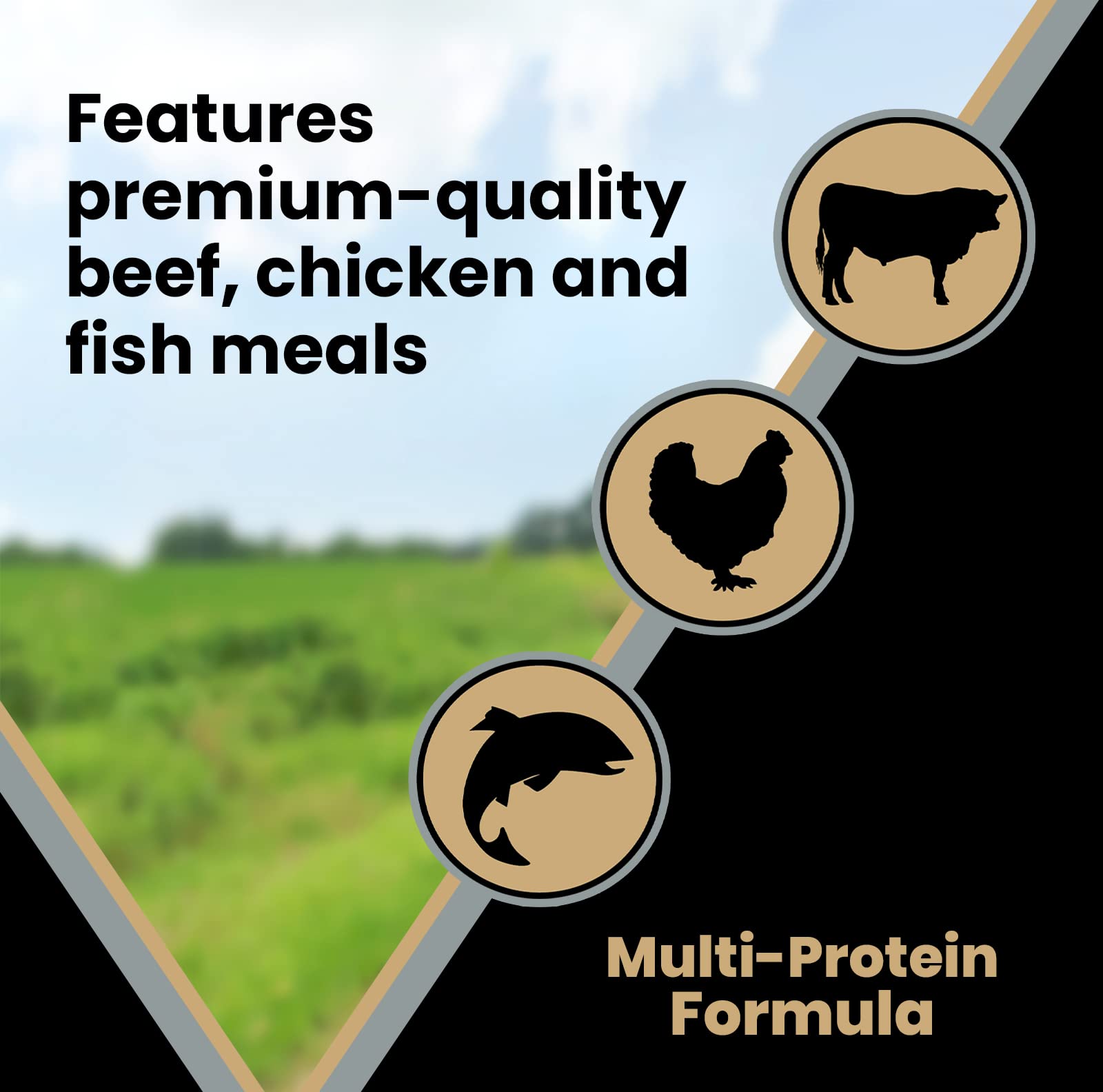 VICTOR vitamins and minerals image showcases immune and digestive health support.