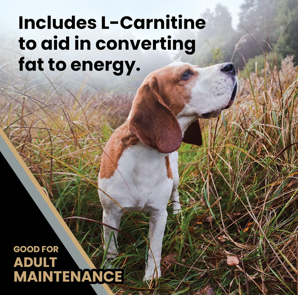 VICTOR L-Carnitine graphic suggests energy conversion for lean muscle.