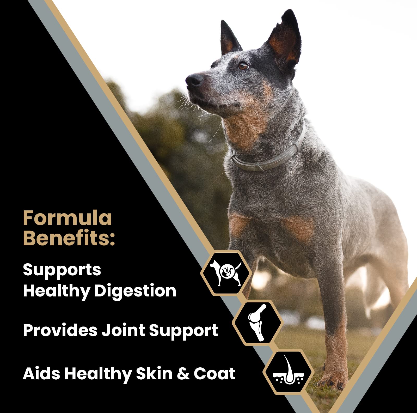 VICTOR meat meals close-up highlights premium protein blend.