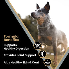 VICTOR meat meals close-up highlights premium protein blend.