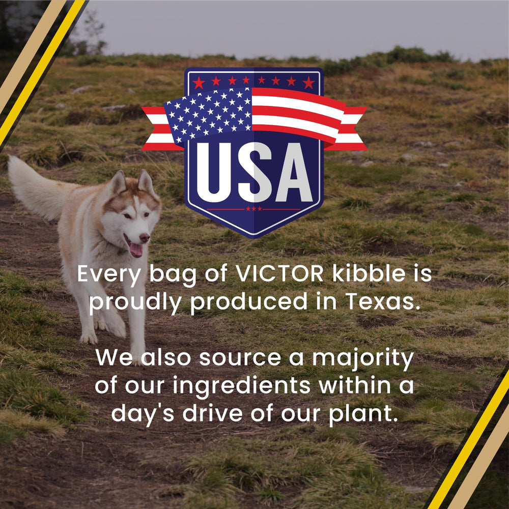 VICTOR Super Premium dry dog food bag with scoop, ready for everyday meals.