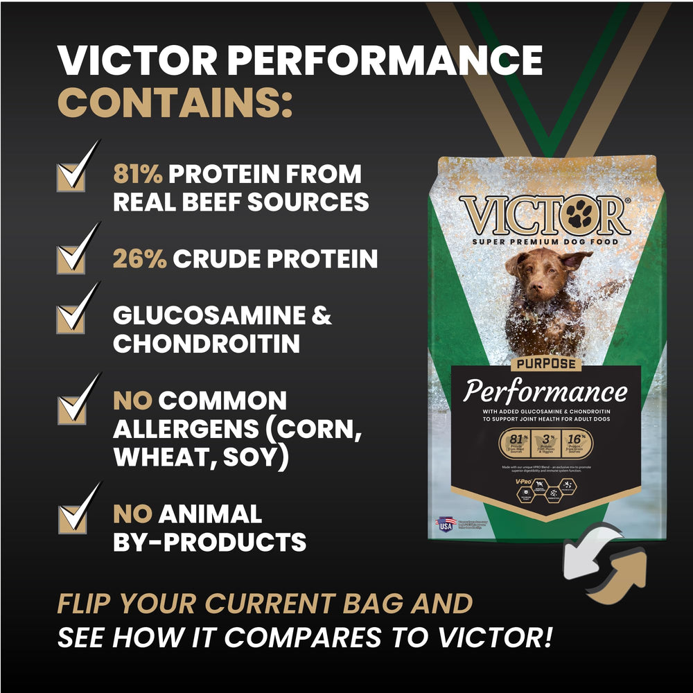 VICTOR kibble texture close-up illustrating crunch and digestibility focus.