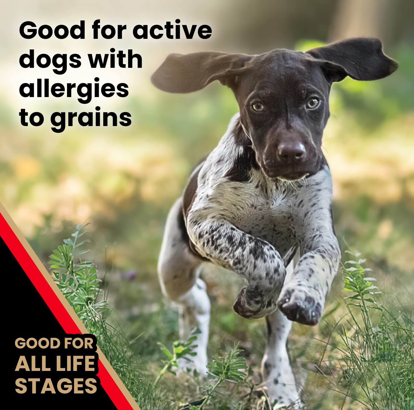 VICTOR VPRO blend close-up showcasing balanced nutrition for immune health and coat condition.