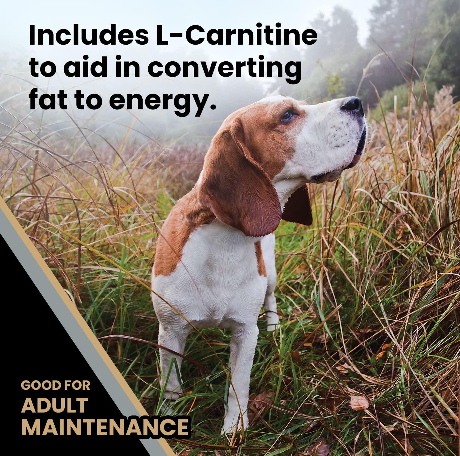 VICTOR VPRO Blend icon emphasizes immune and coat health benefits.