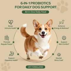 VientoSeek probiotic chews in duck flavor, easy chew for puppies and seniors.