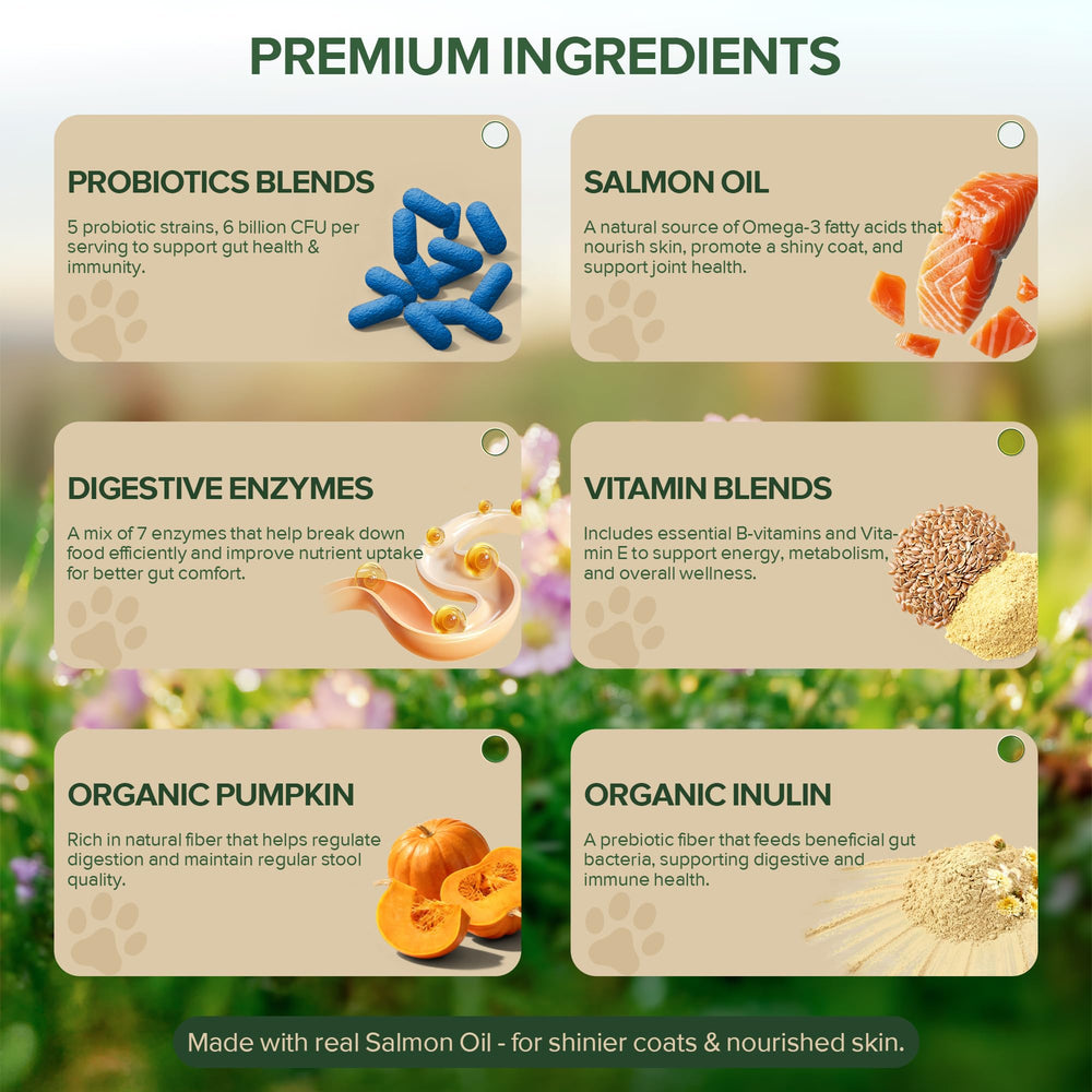 VientoSeek ingredients showing enzymes, prebiotics, and Omega-3 for dogs.