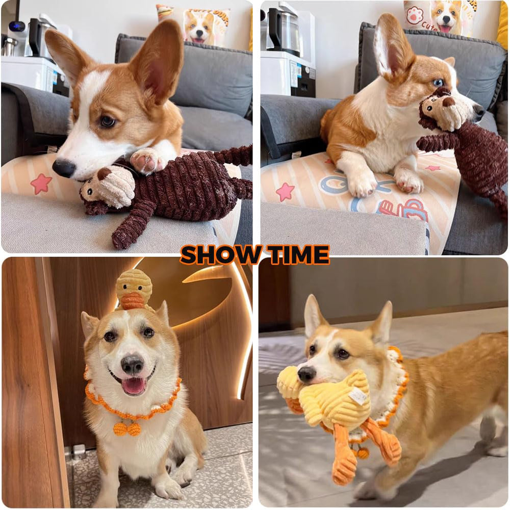 VIFINE 5-pack tough dog toys group for versatile play.
