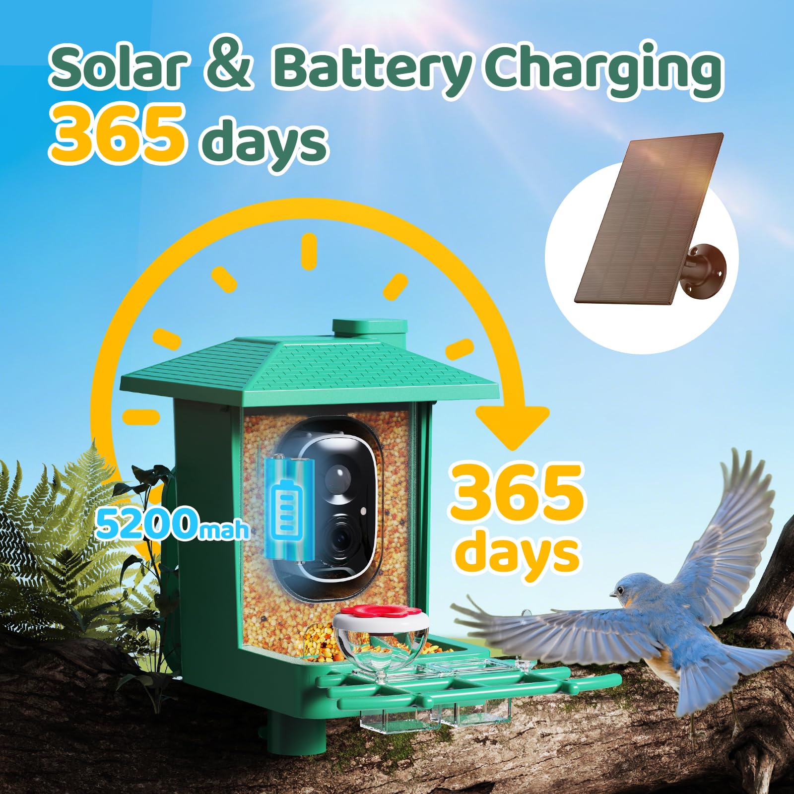 VIMKIM Bird Feeder with Camera family sharing live streams with loved ones