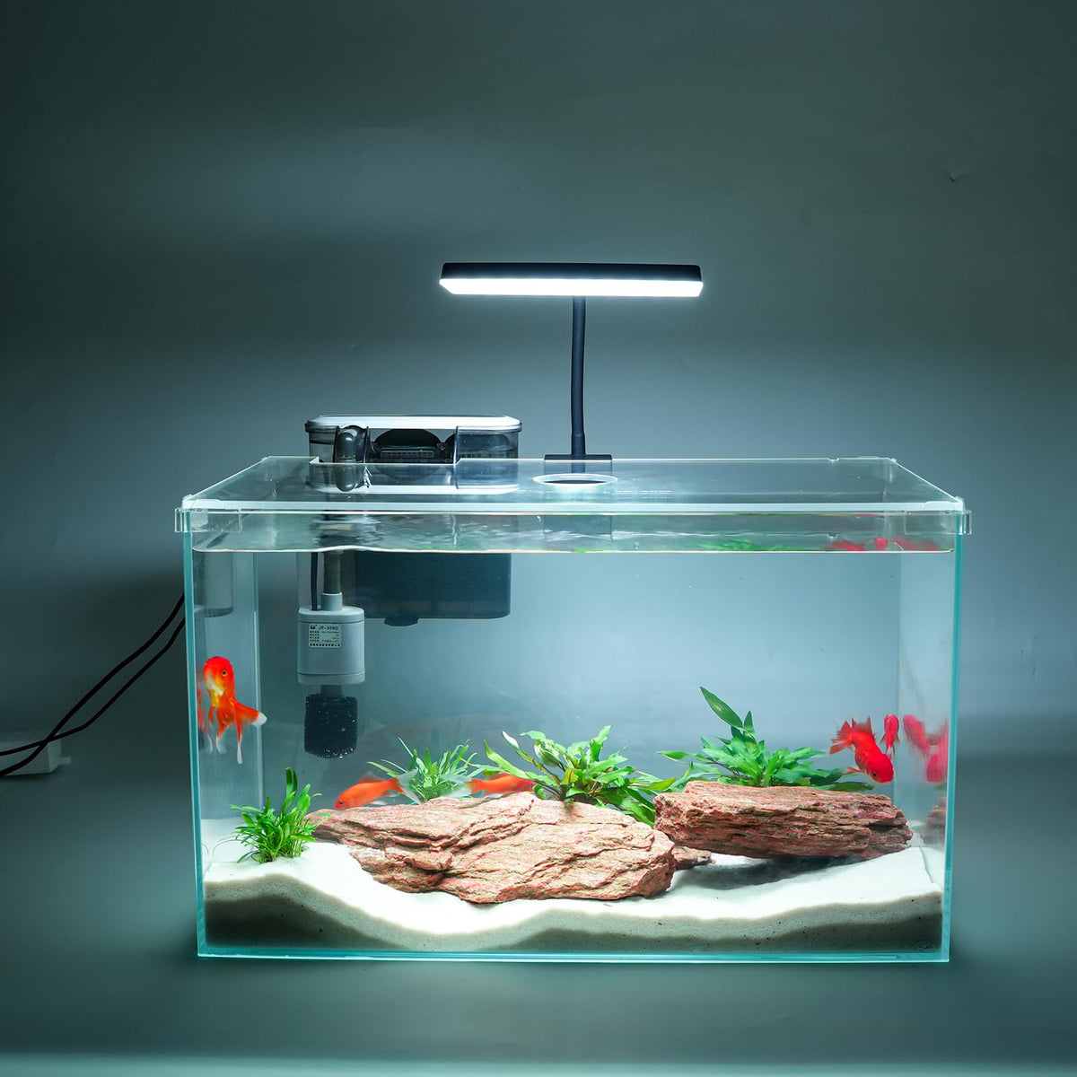 Vimvins 10-gallon glass tank front view for clear beginner aquariums.