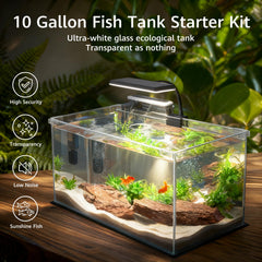 Vimvins 10gal interior filtration system with quiet, efficient circulation.