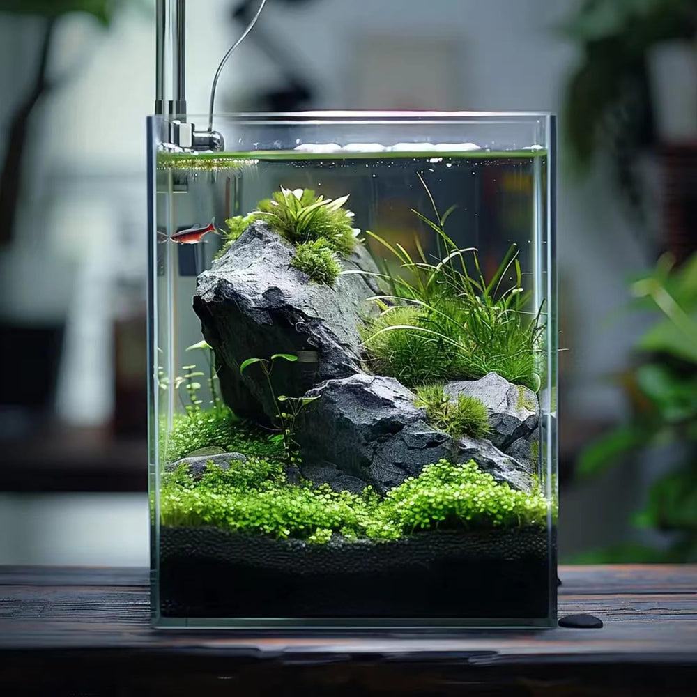 Vimvins 2-gallon tank supports aquascaping and small aquatic life