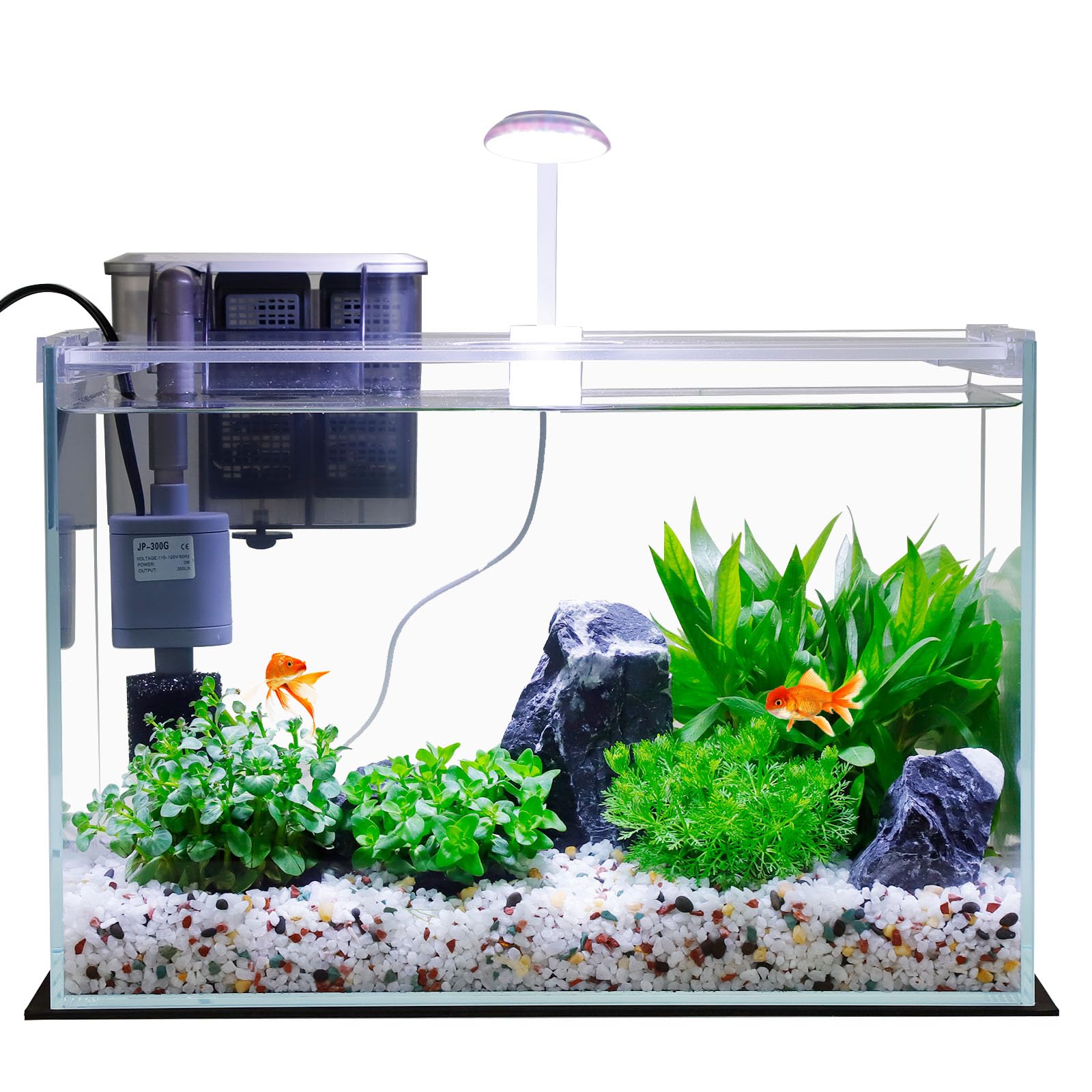 Vimvins 3-Gallon Glass Betta Tank setup showing compact beginner-friendly habitat
