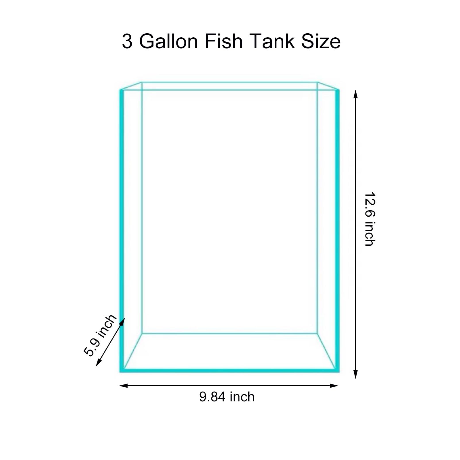 Vimvins compact desktop aquarium ideal for small spaces and quick viewing.