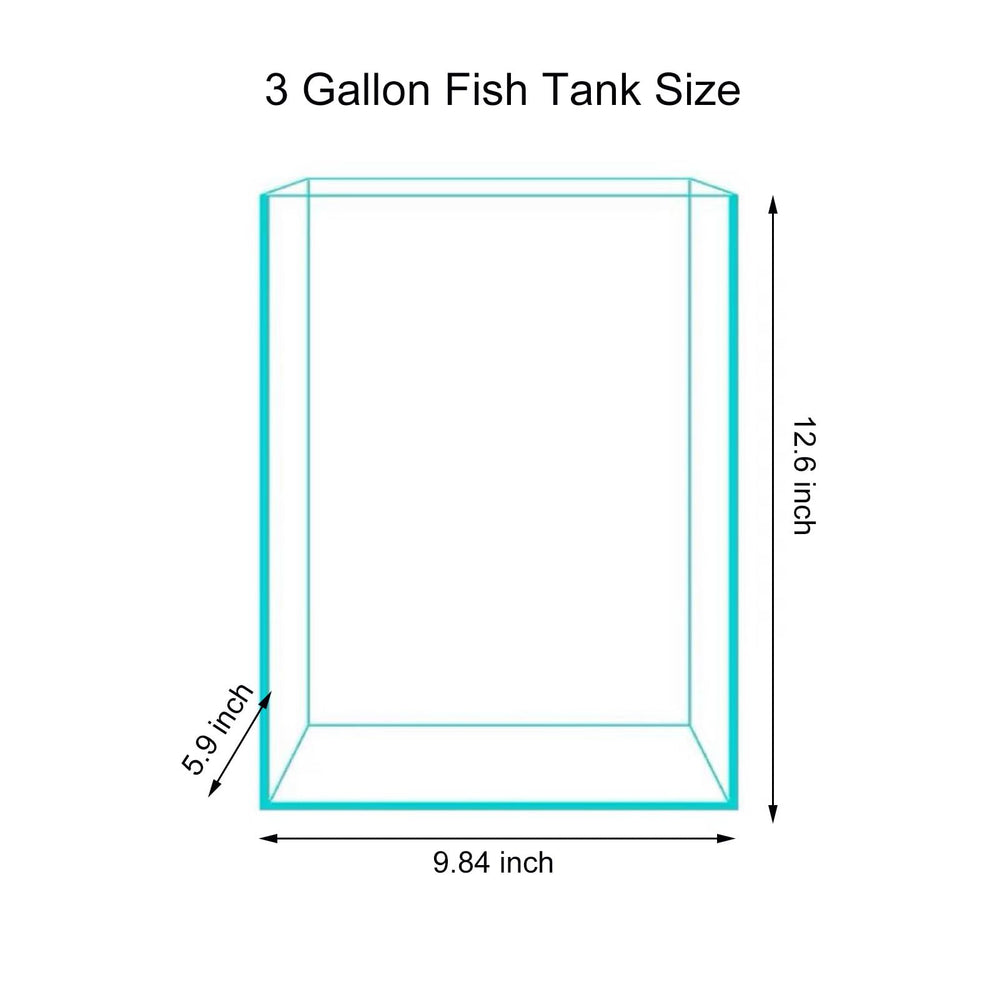 Vimvins compact desktop aquarium ideal for small spaces and quick viewing.