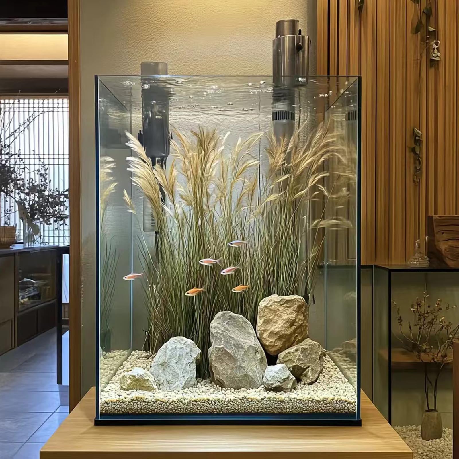 Vimvins ecosystem-ready tank supports betta, shrimp, snails and live plants.