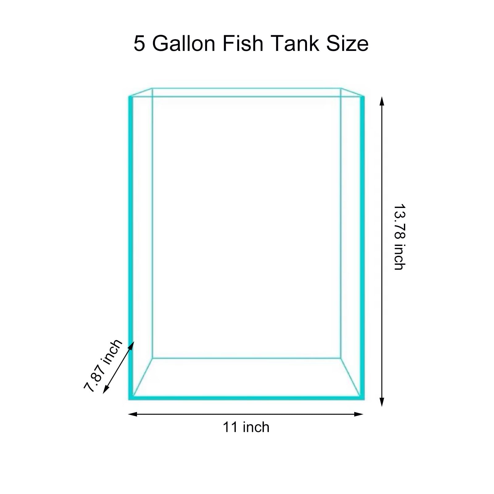 Vimvins multiuse tank supports aquascapes turtles and micro landscapes