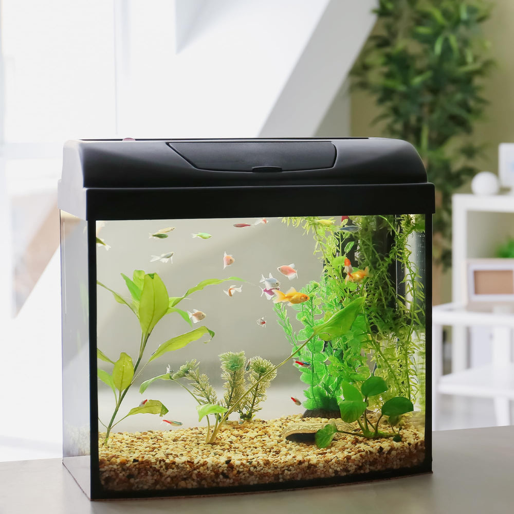 VINICS aquarium gravel in terrarium highlighting adaptability for mixed environments.