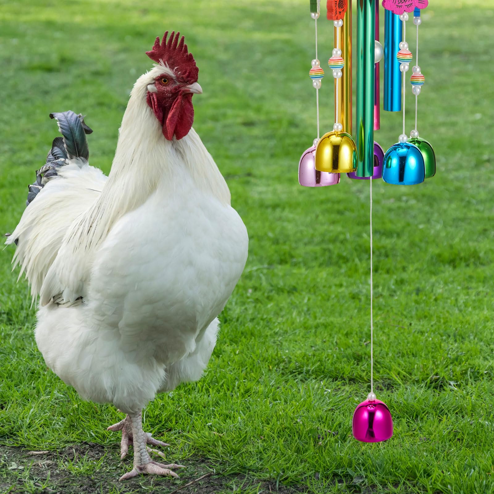 VioraWhite beak grinding stone 3 encourages daily chewing and enrichment