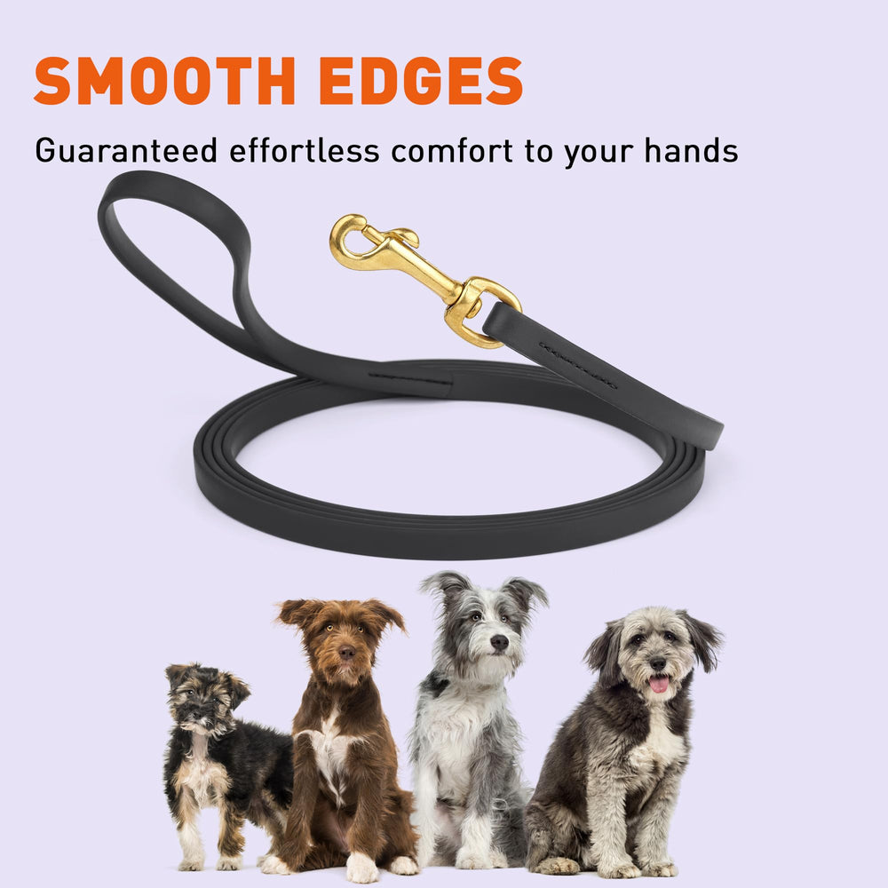 Viper Biothane leash 20ft extended for recall drills outdoors.