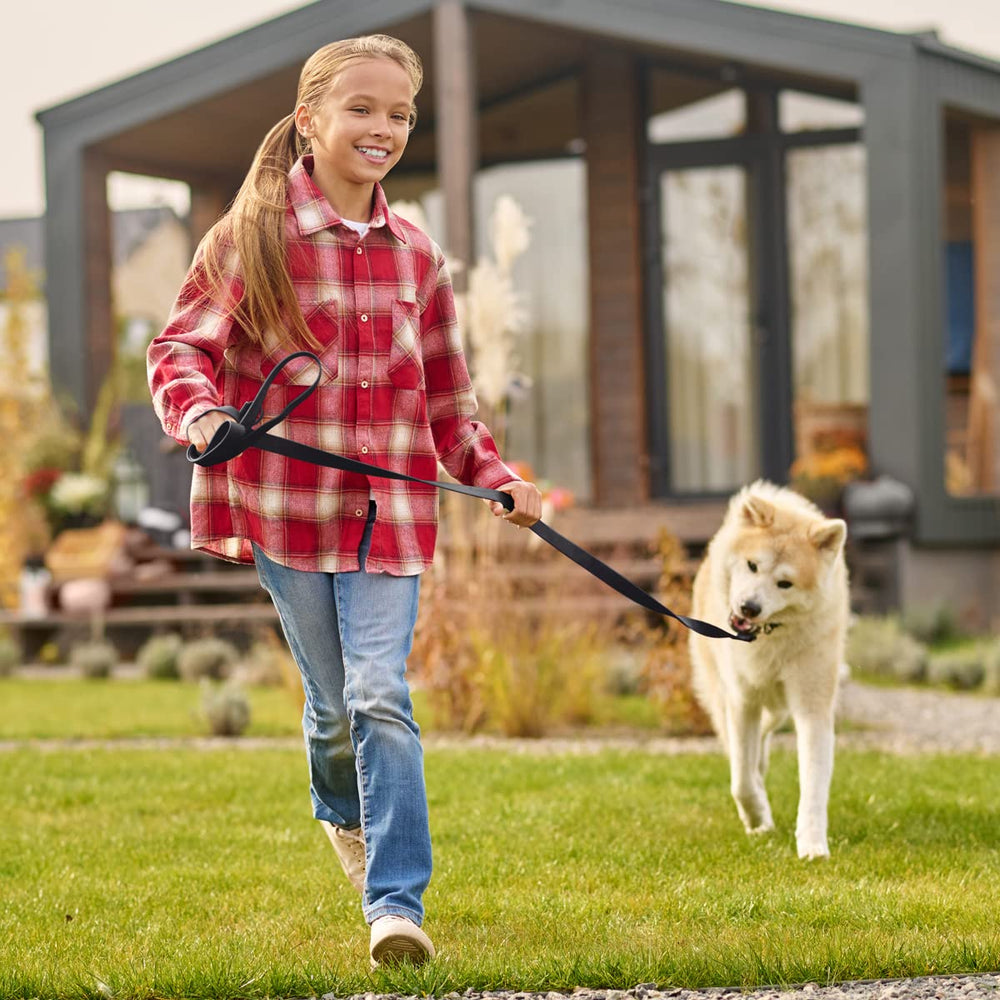 Weather-resistant Biothane leash maintains performance in heat and rain.