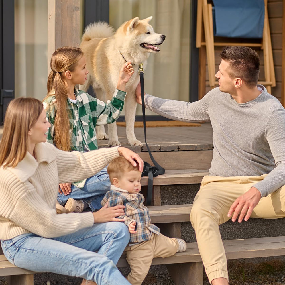USA-made Biothane leash designed for cleaning and odor-free performance