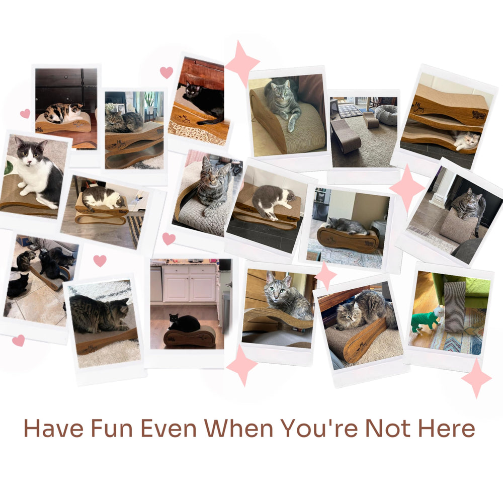 VIRAAGYIYOU compact space saver scratcher ideal for small apartments.