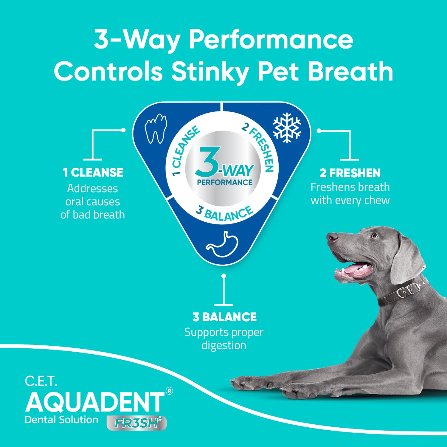 Dog dosage of Aquadent FR3SH added to water for fresher breath