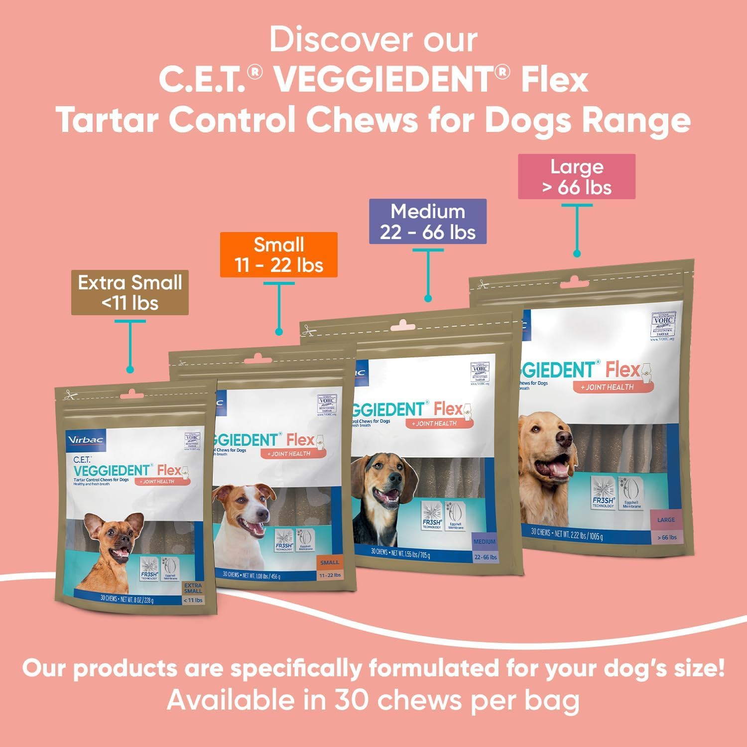 Small breed dog enjoying VeggieDent Flex chew, suitable for dogs under 11 lbs.