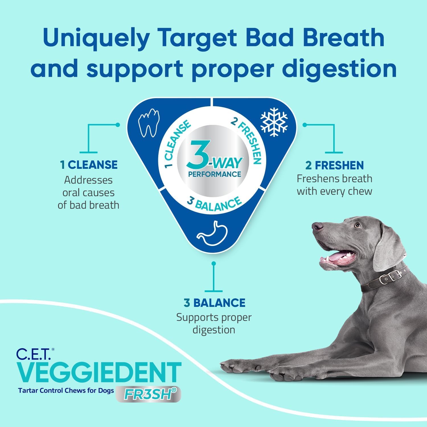 Virbac CET Veggiedent FR3SH chews promote breath freshness for dogs.