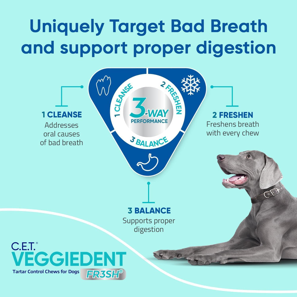 Virbac CET Veggiedent FR3SH chews promote breath freshness for dogs.