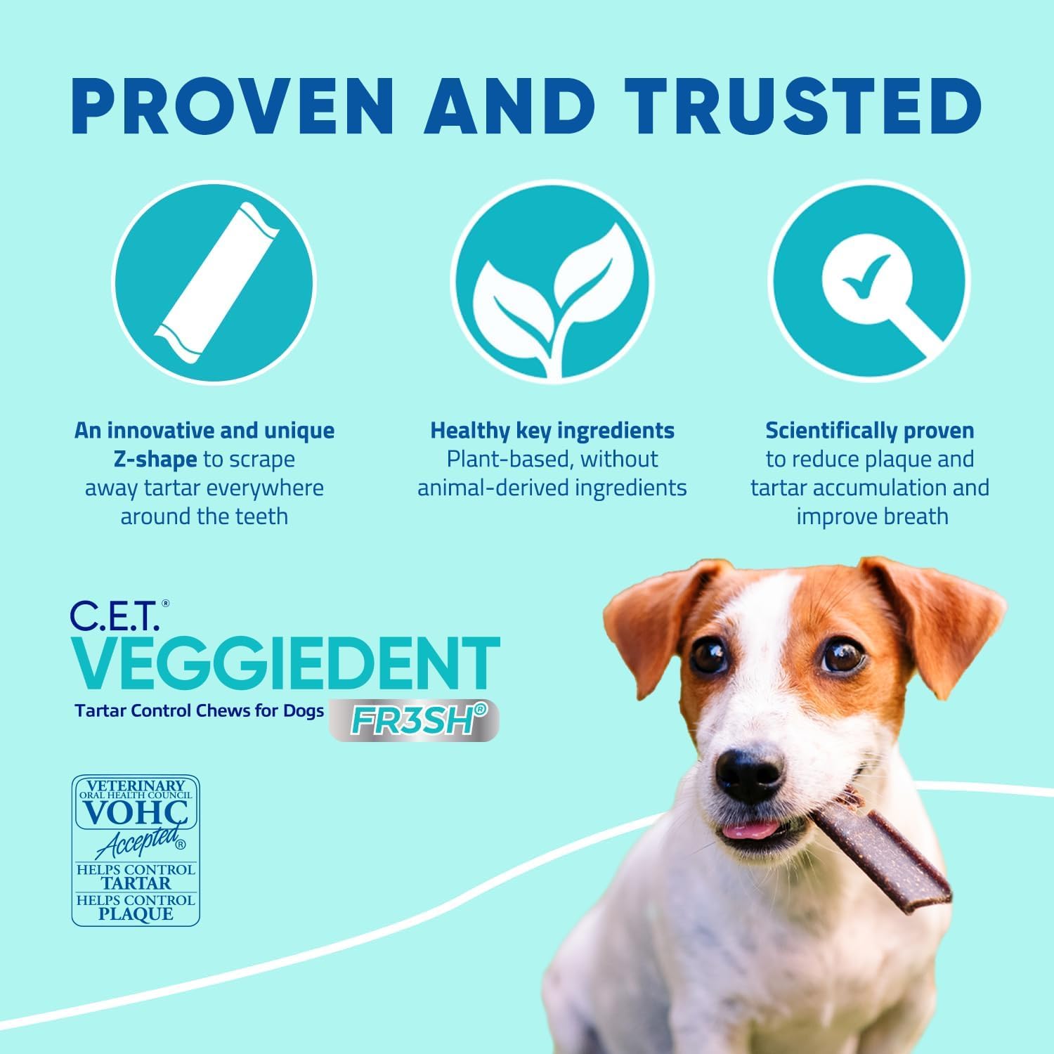 Illustration of digestion support with prebiotic included in the chews.