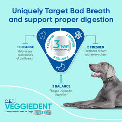 Chews aiding breath freshening in dogs with VEGGIEDENT FR3SH.